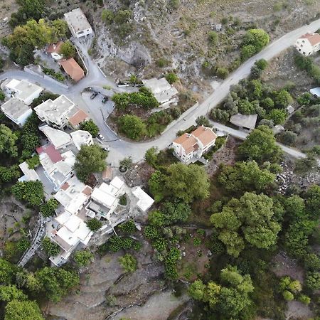 Alonai Athina'S Houseヴィラ エクステリア 写真